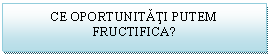 Text Box: CE OPORTUNITATI PUTEM FRUCTIFICA?

