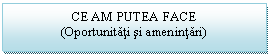 Text Box: CE AM PUTEA FACE
(Oportunitati si amenintari)

