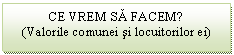 Text Box: CE VREM SA FACEM?
(Valorile comunei si locuitorilor ei)


