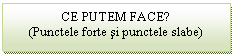 Text Box: CE PUTEM FACE?
(Punctele forte si punctele slabe)

