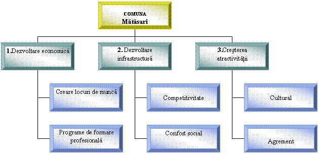 Organization Chart