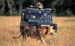 safari-kenya.jpg