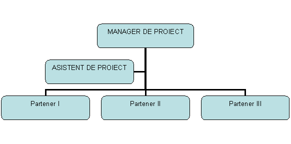 Organization Chart