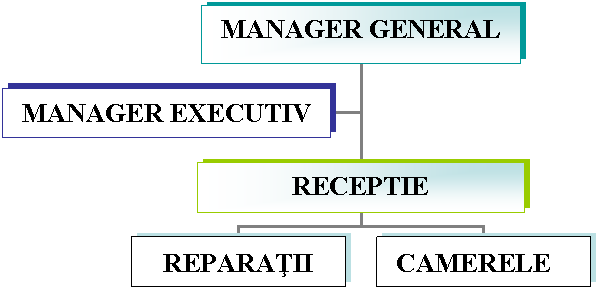 Organization Chart