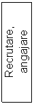 Text Box: Recrutare, angajare
