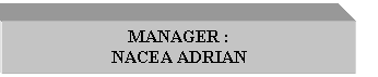Text Box: MANAGER :
NACEA ADRIAN
