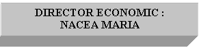 Text Box: DIRECTOR ECONOMIC :
NACEA MARIA
