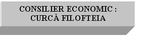 Text Box: CONSILIER ECONOMIC :
CURCA FILOFTEIA
